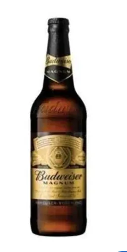 Best Budweiser Magnum in Ernakulam